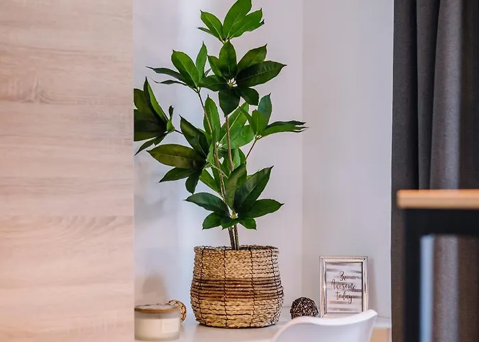 Apartament Amade 2